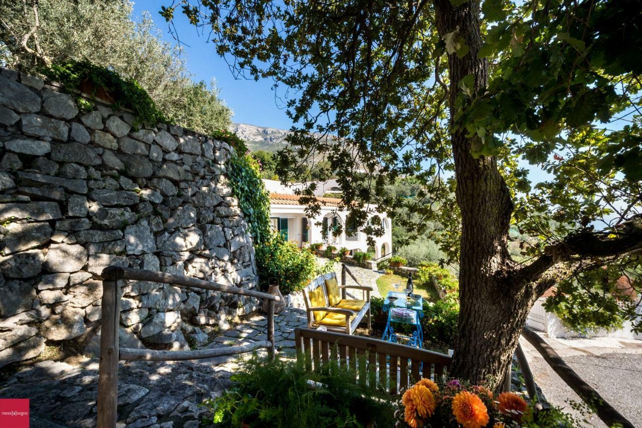 Ferienwohnung Il Nibbio Piano di Sorrento Exterior foto